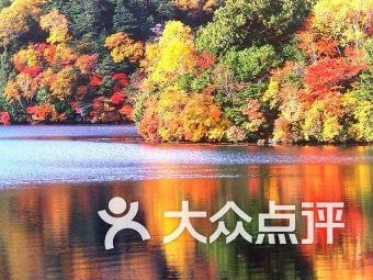 瑞德的冒险之旅中文版