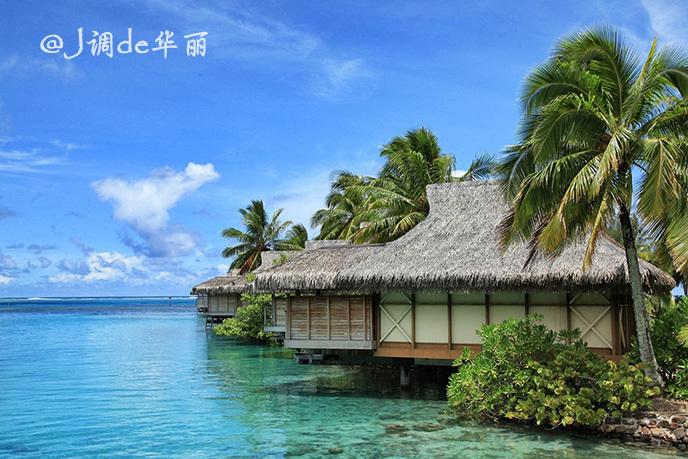 老婆与我十年不同房了，已经相互冷淡了怎么办？游戏画面